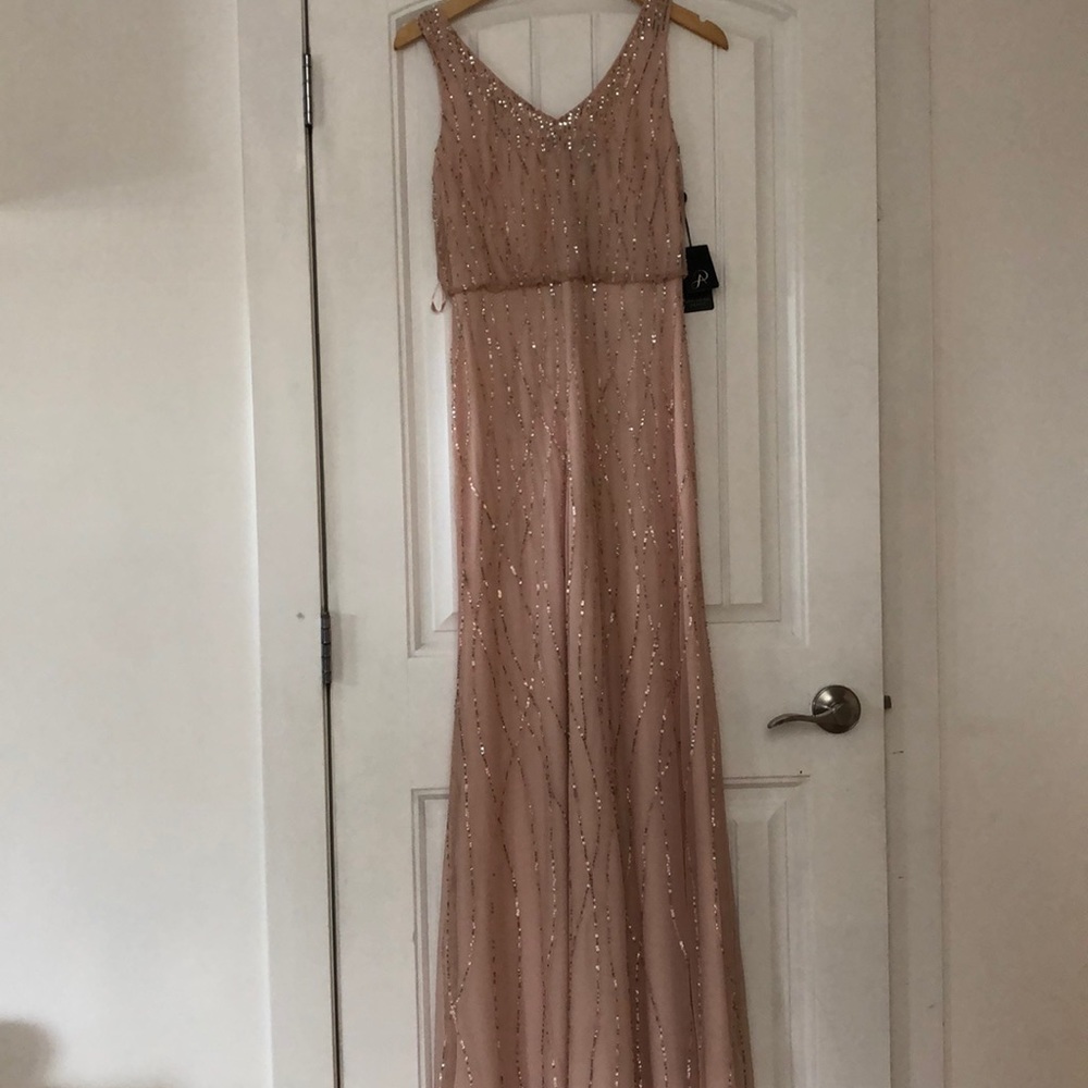 Adrianna Papell Blush Pink Sequin Maxi Dress